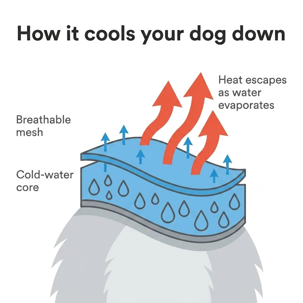 Dog Cooling Vest