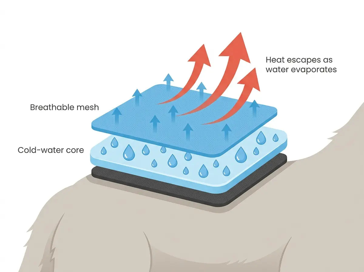 Diagram: breathable mesh over a cold-water core, heat escaping as water evaporates